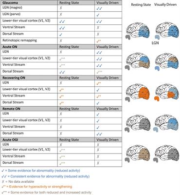 Resting-state functional MRI of the visual system for characterization of optic neuropathy